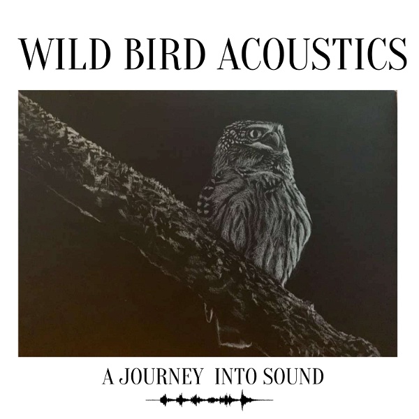 Artwork for Wild Bird Acoustics