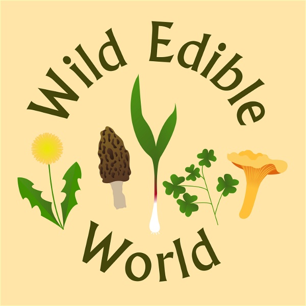 Artwork for Wild Edible World: A Foraging Podcast