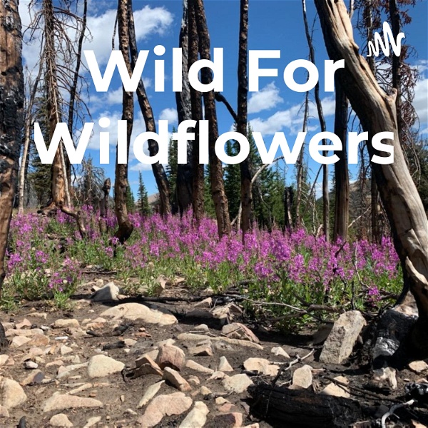 Artwork for Wild For Wildflowers