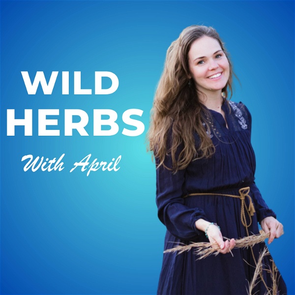 Artwork for Wild Herbs with April