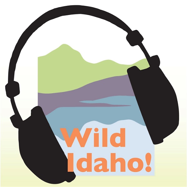 Artwork for Wild Idaho! Podcast