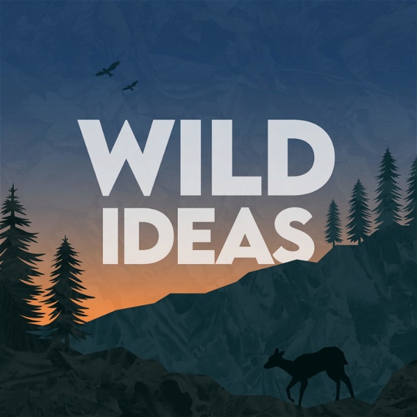 Artwork for Wild Ideas