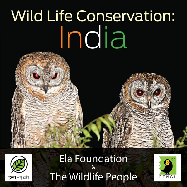Artwork for Wild Life Conservation: India Podcast