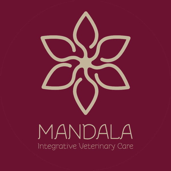 Artwork for Wild Mandala