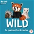 Wild, le podcast animalier