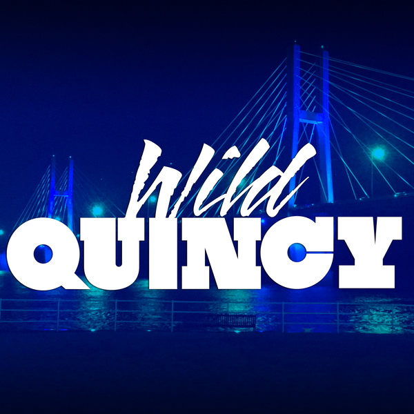 Artwork for Wild Quincy