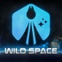 Wild Space: Star Wars Podcast