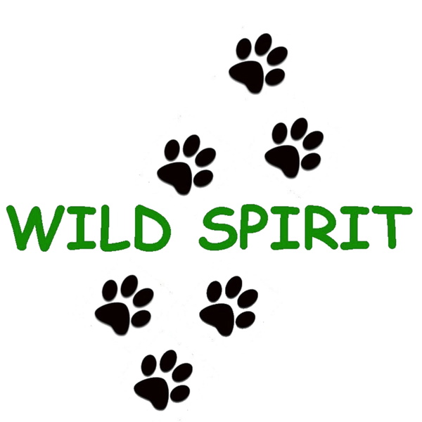 Artwork for Wild Spirit