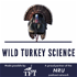 Wild Turkey Science