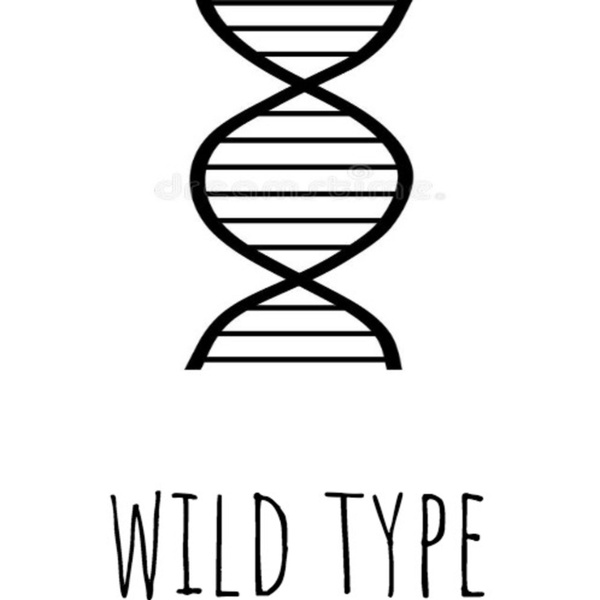 Artwork for Wild Type