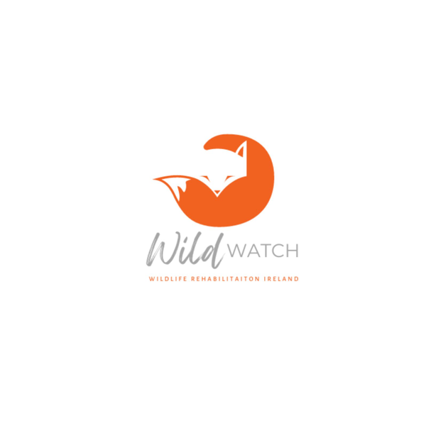 Artwork for Wild Watch
