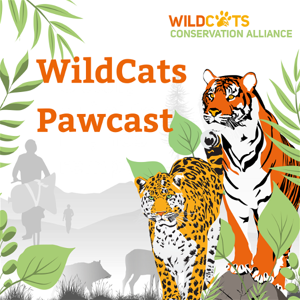 Artwork for WildCats Pawcast