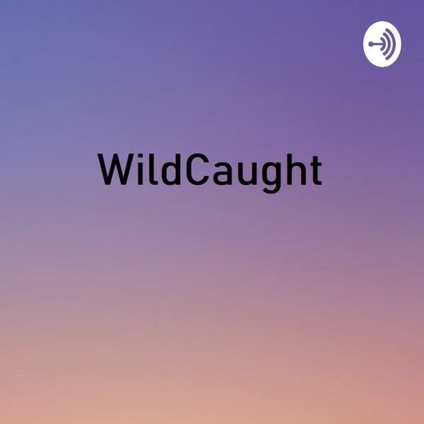 Artwork for WildCaught