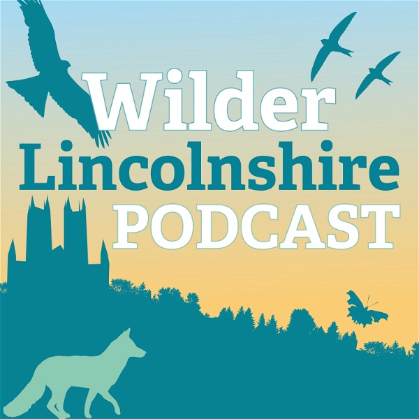 Artwork for Wilder Lincolnshire Podcast