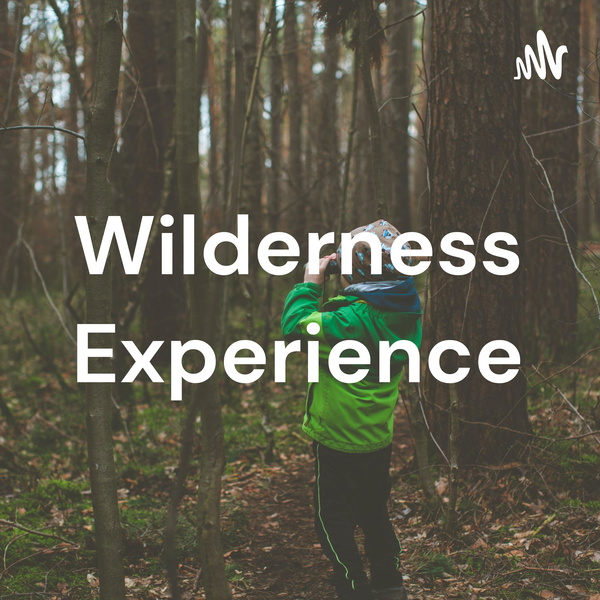 Artwork for Wilderness Experience