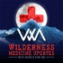 Wilderness Medicine Updates