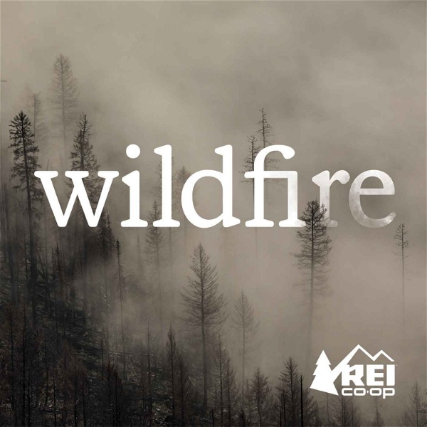 Artwork for Wildfire