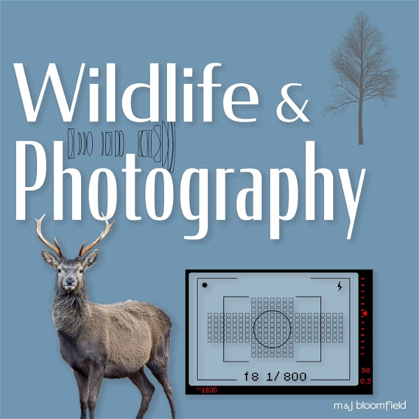 Artwork for Wildlife and Photography