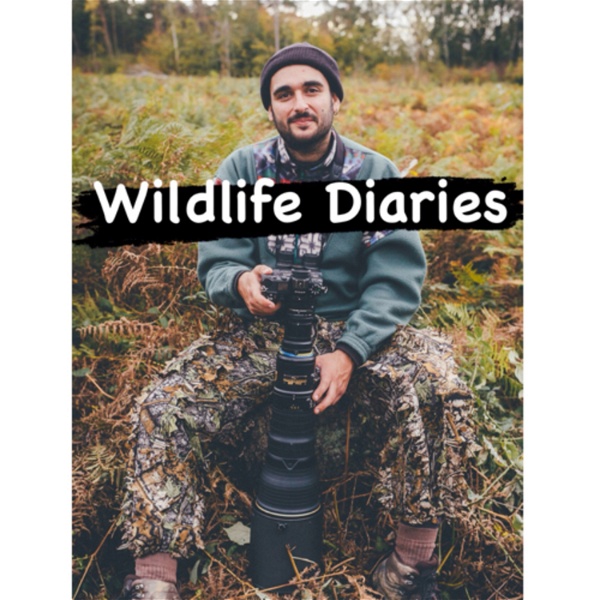 Artwork for Wildlife Diaries