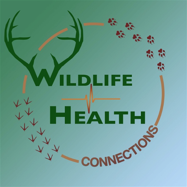 Artwork for Wildlife Health Connections
