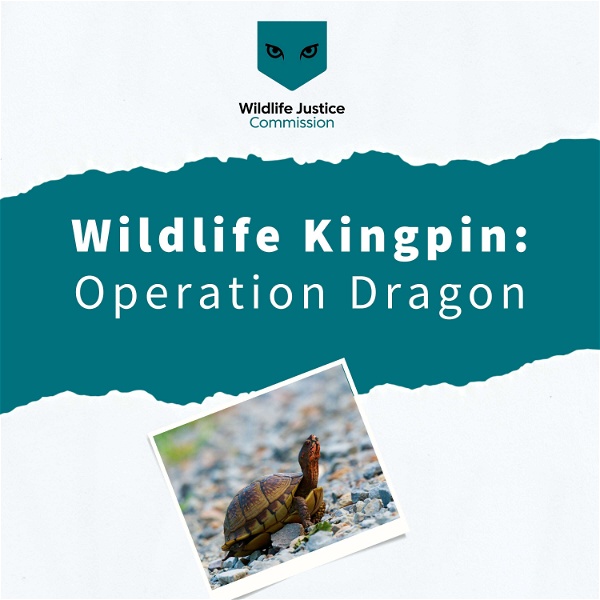 Artwork for Wildlife Kingpin