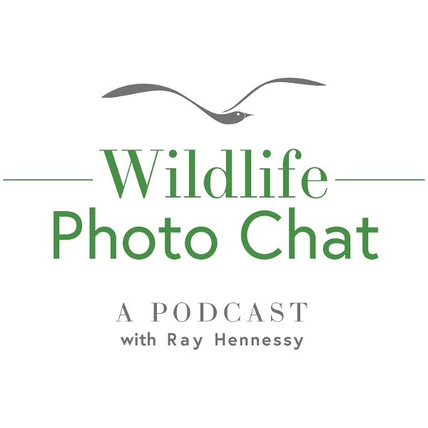 Artwork for Wildlife Photo Chat
