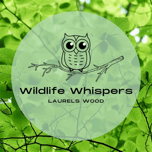 Artwork for Wildlife Whispers