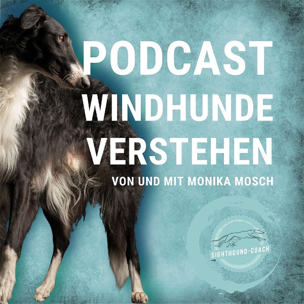 Artwork for Windhunde verstehen Staffel 01