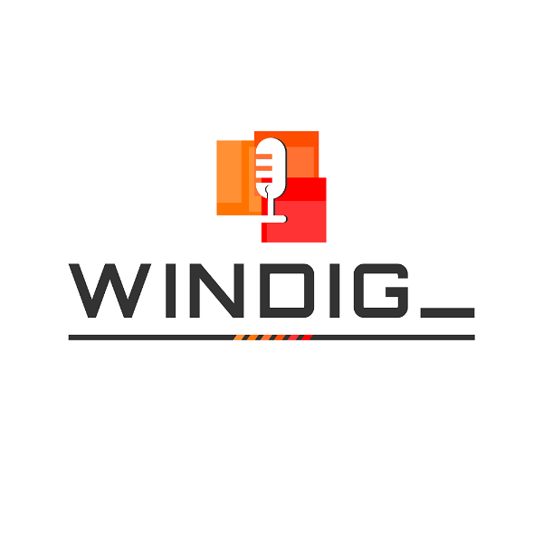 Artwork for WinDig_ Podcast