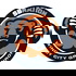 Windy City Gridiron: for Chicago Bears fans