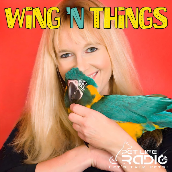 Artwork for WingsNThings