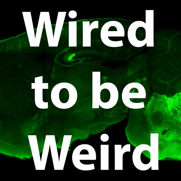 Artwork for Wired to be Weird