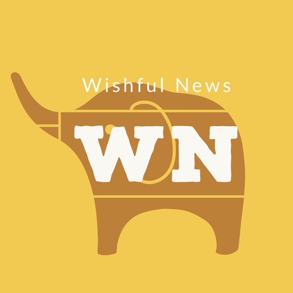 Artwork for Wishful News Channel