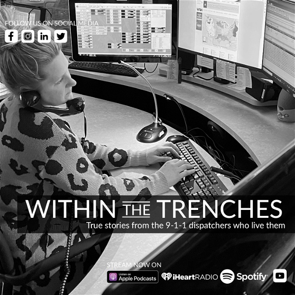 Artwork for Within the Trenches