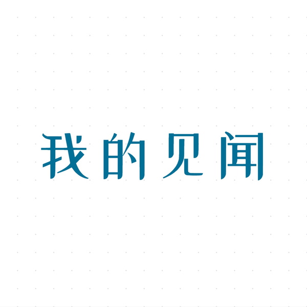 Artwork for 我的见闻