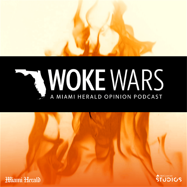 Artwork for Woke Wars