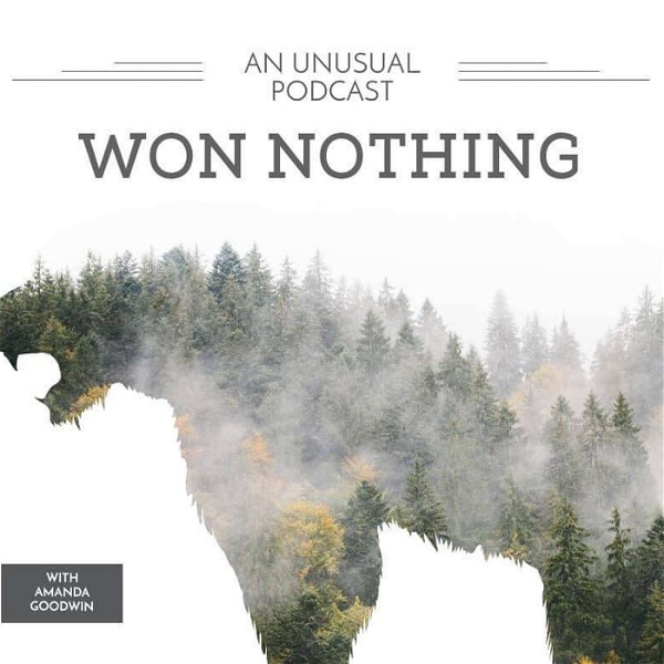 Artwork for Won Nothing Podcast