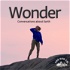 Wonder, by the Geo Co.