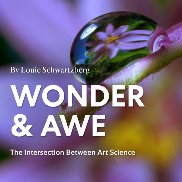 Artwork for Wonder And Awe