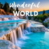Wonderful world