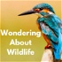 Wondering About Wildlife