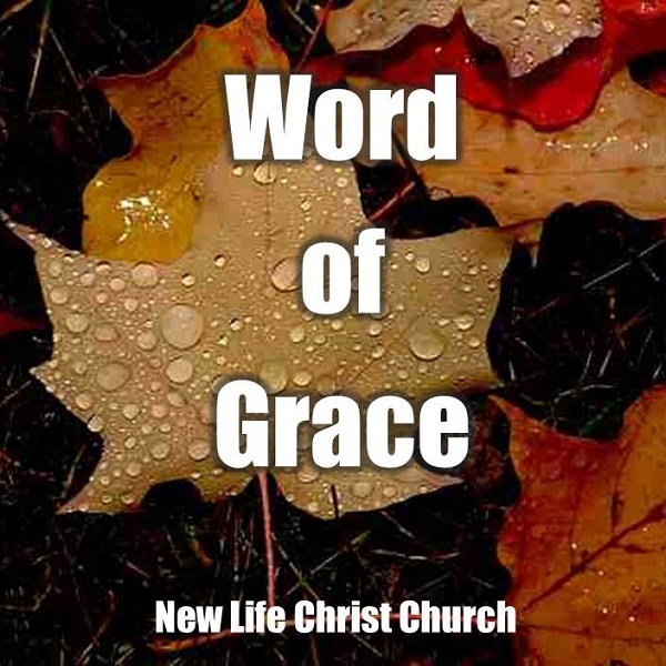 Artwork for Word of Grace