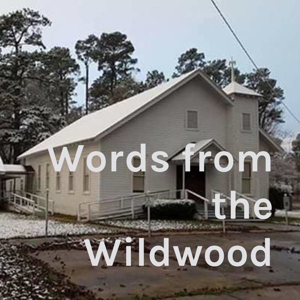 Artwork for Words from the Wildwood