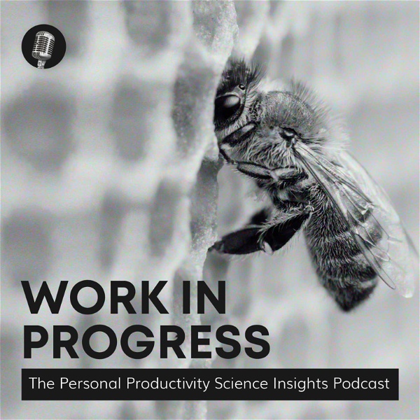 Artwork for Work in Progress: The Personal Productivity Science Insights Podcast