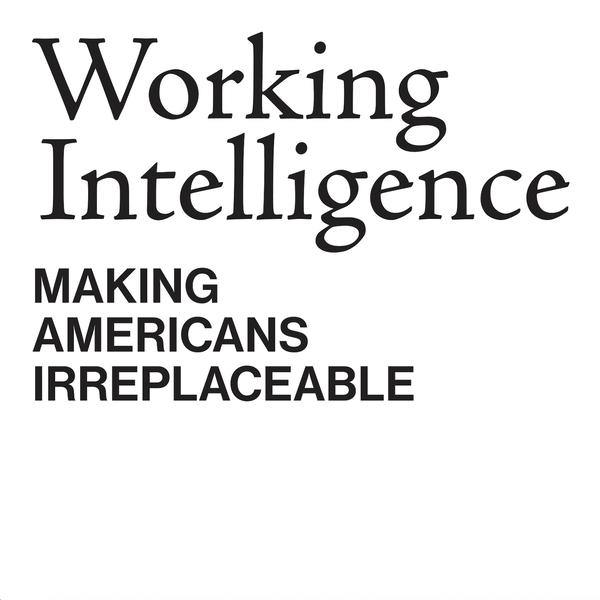 Artwork for Working Intelligence: The AI Optimism Project