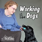 Artwork for Working Like Dogs