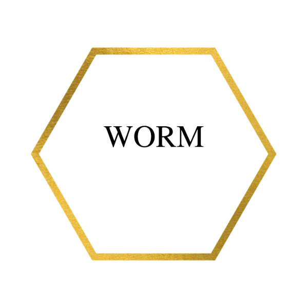 Artwork for Worm: An Unabridged Production