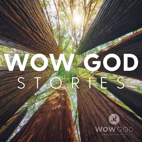 Artwork for Wow God Stories