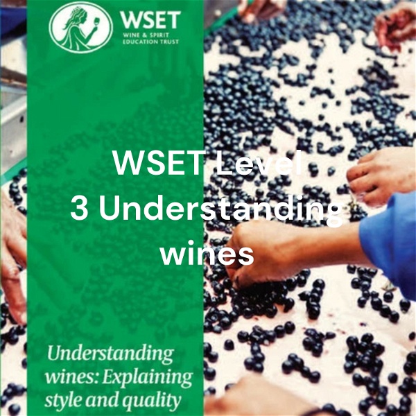 Artwork for WSET Level 3 Understanding wines: Explaining style and quality