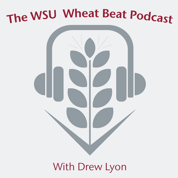 Artwork for WSU Wheat Beat Podcast